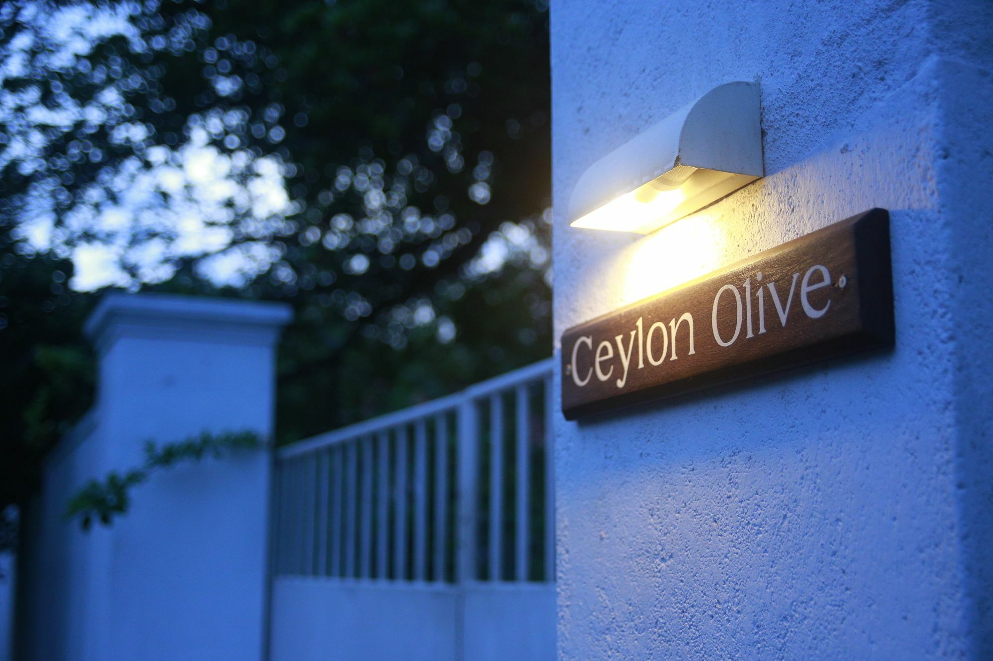 Ceylon Olive Galle Kültér fotó