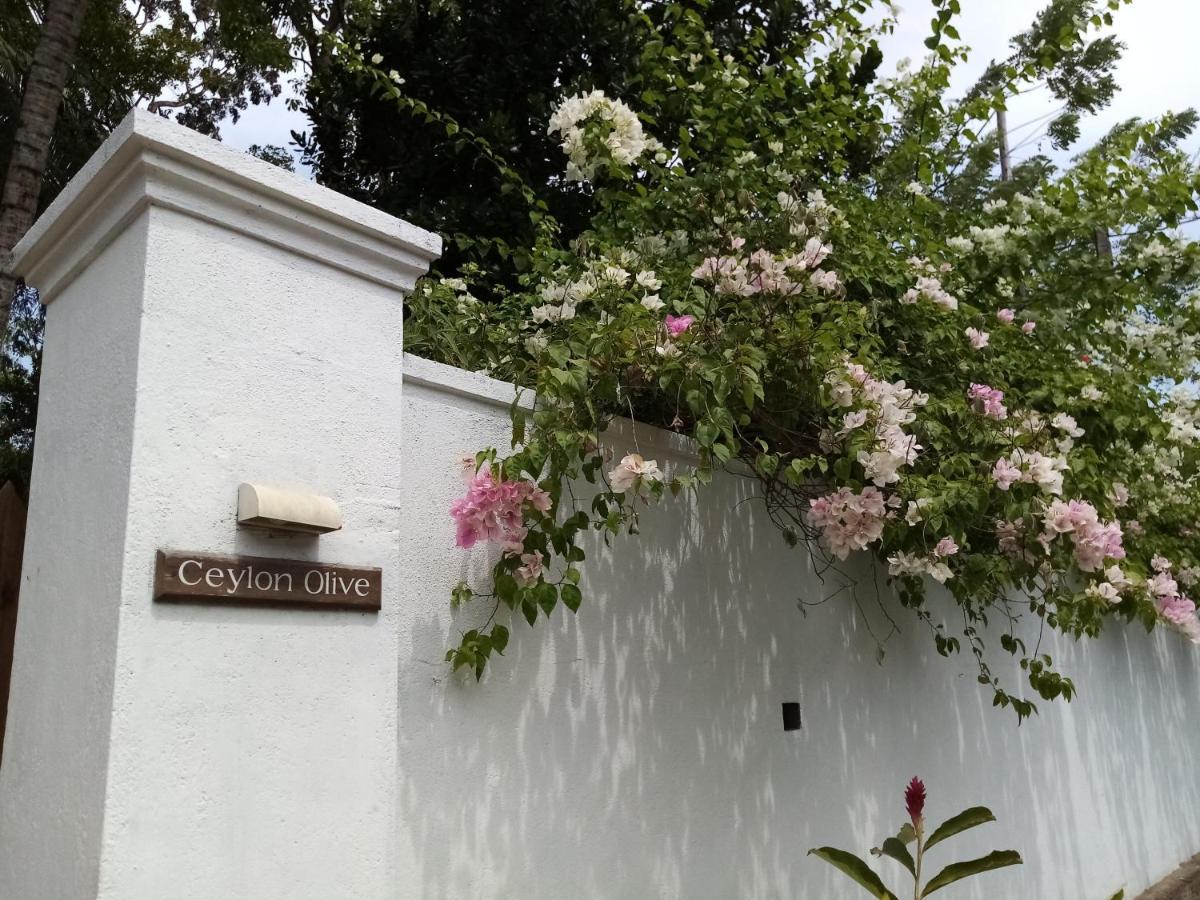 Ceylon Olive Galle Kültér fotó